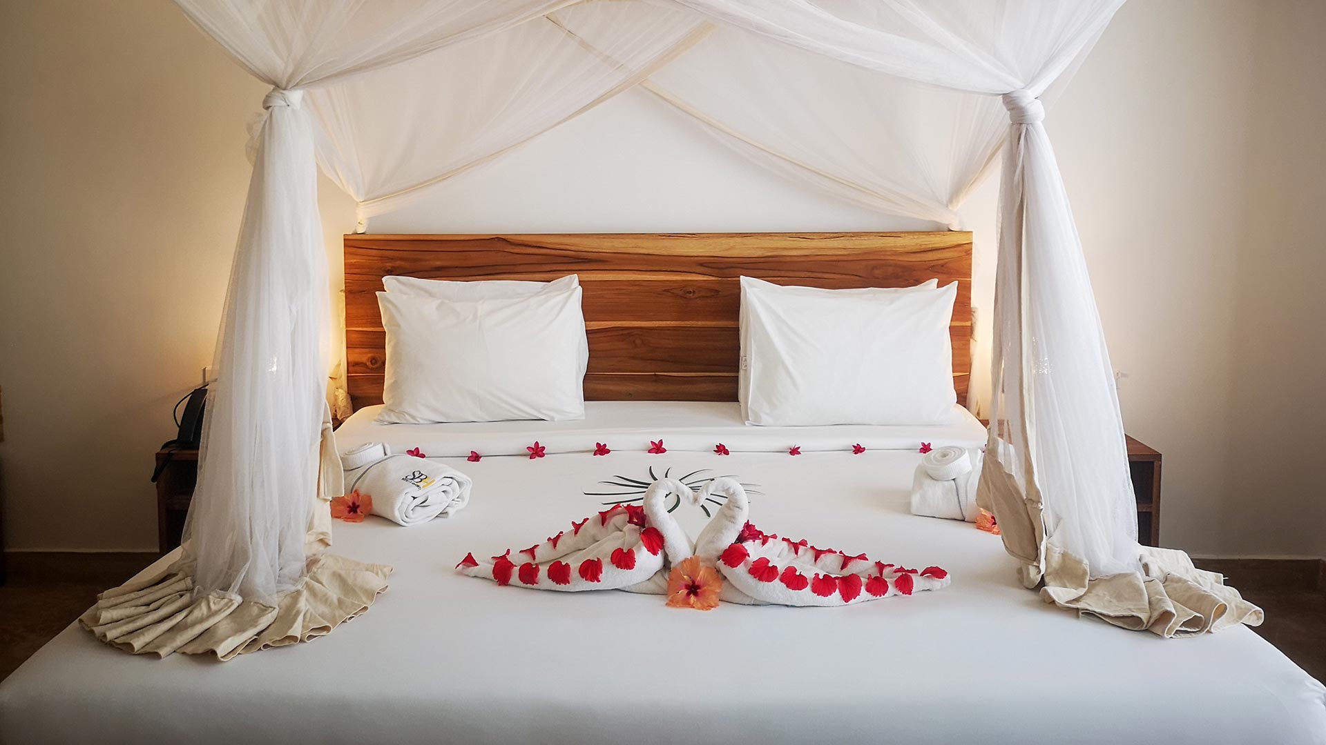 zimmer sbh monica zanzibar