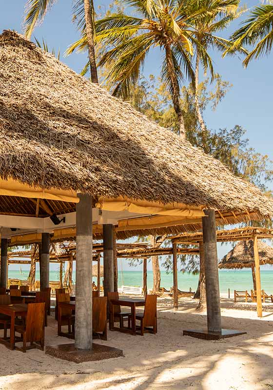 bares restaurantes gastonomia sbh cristal paje
