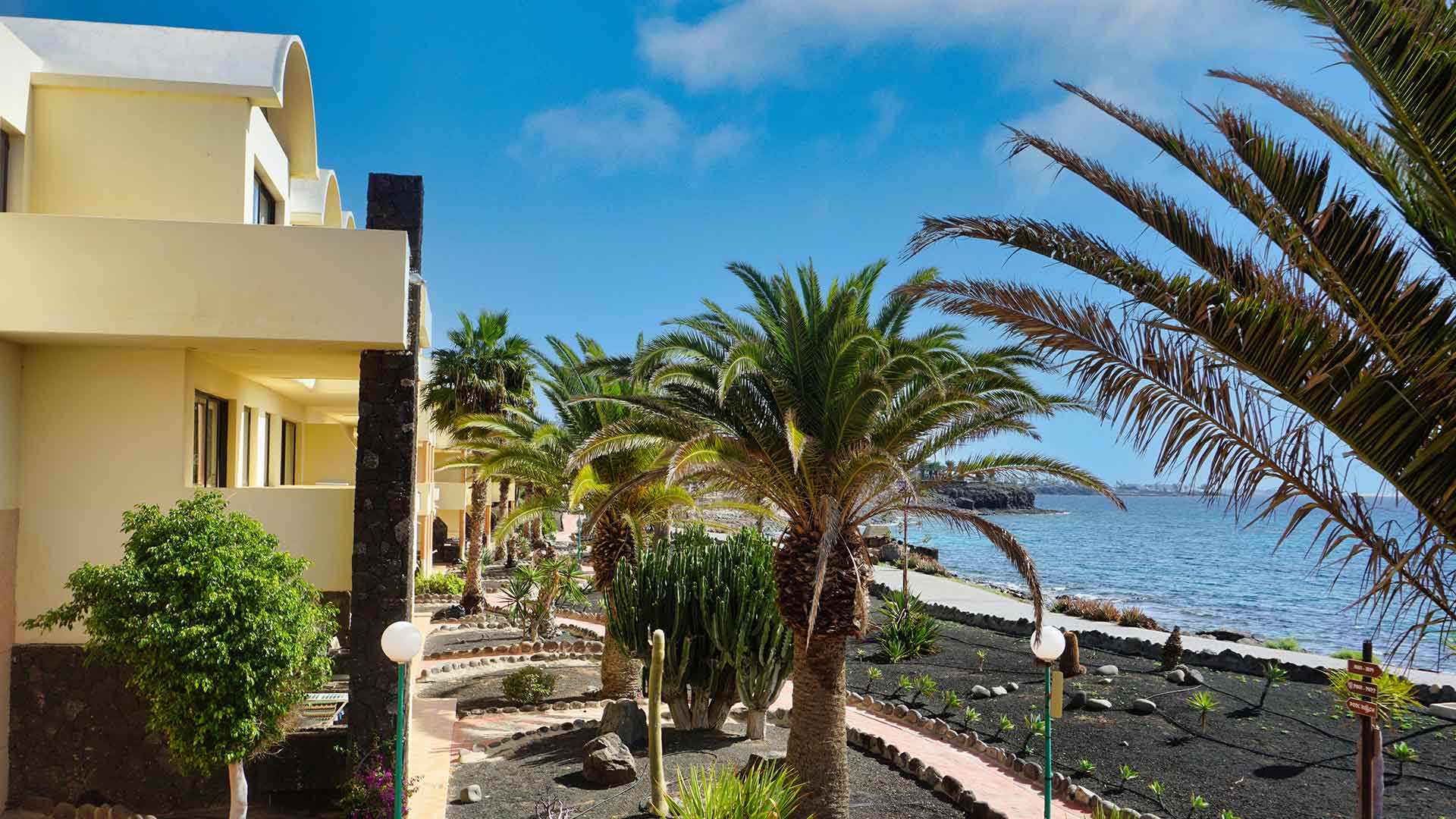 galeria de imagenes sbh royal monica