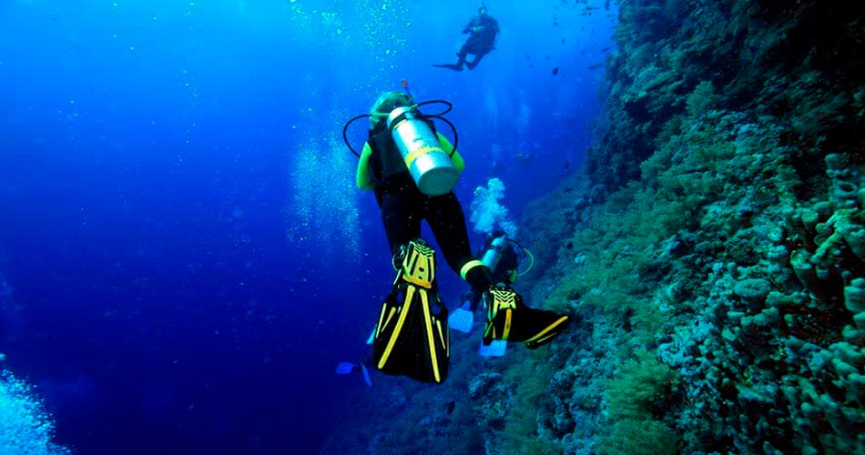 Diving costa calma