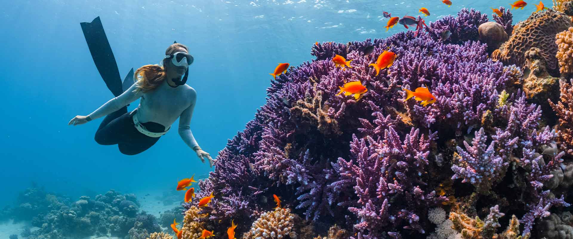 activities fuerteventura sbh hotels resorts