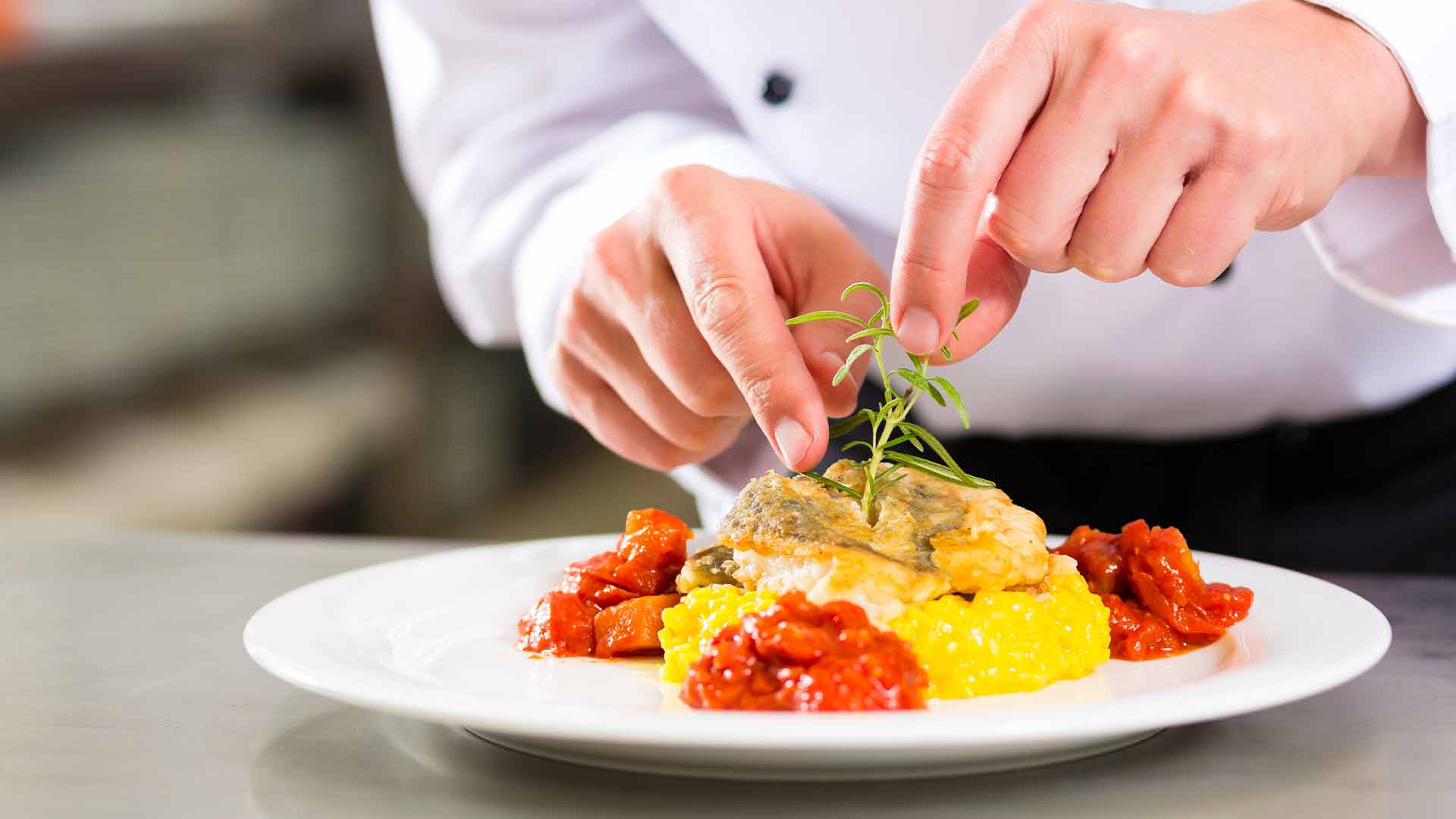 themed restaurants experience sbh hotels resorts