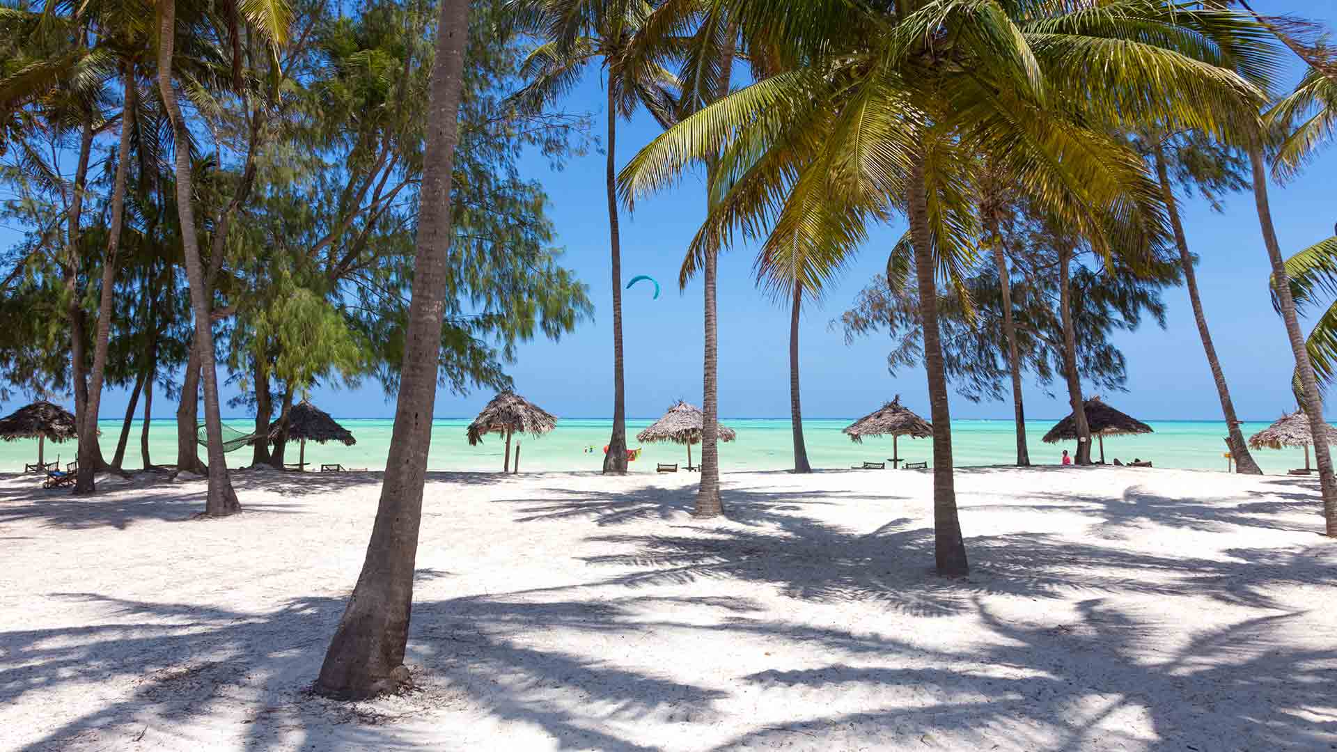 contact sbh hotels resorts