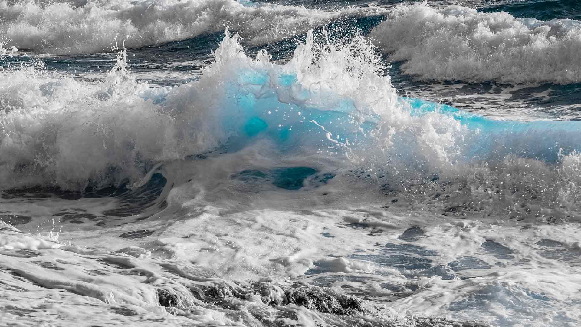 protection des données sbh hotels resorts