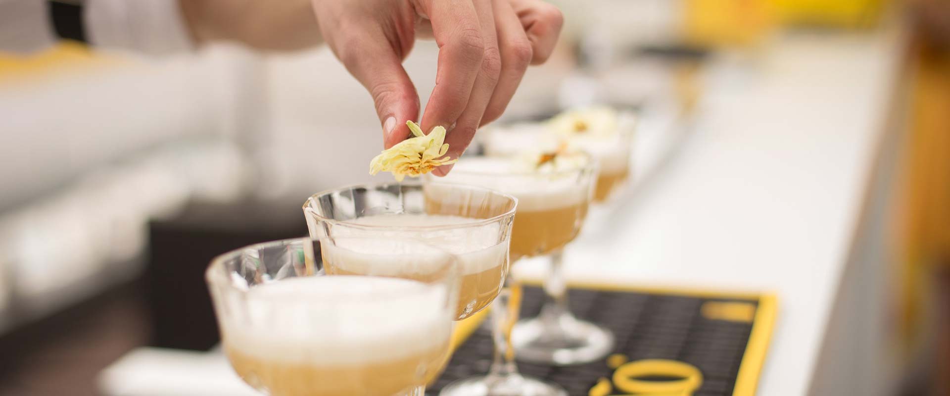 experiencia servicios premium sbh hotels resorts