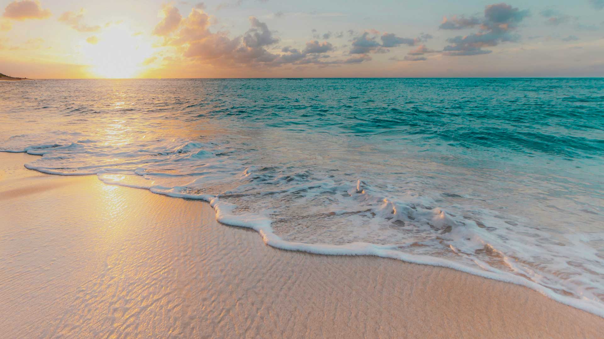 check-in online sbh hotels resorts