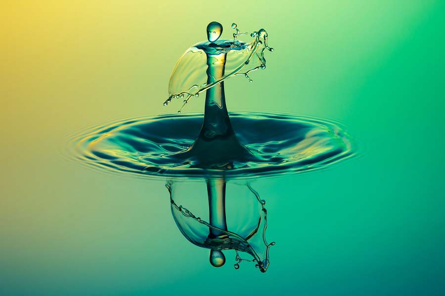 trasparenza sbh hotels resorts