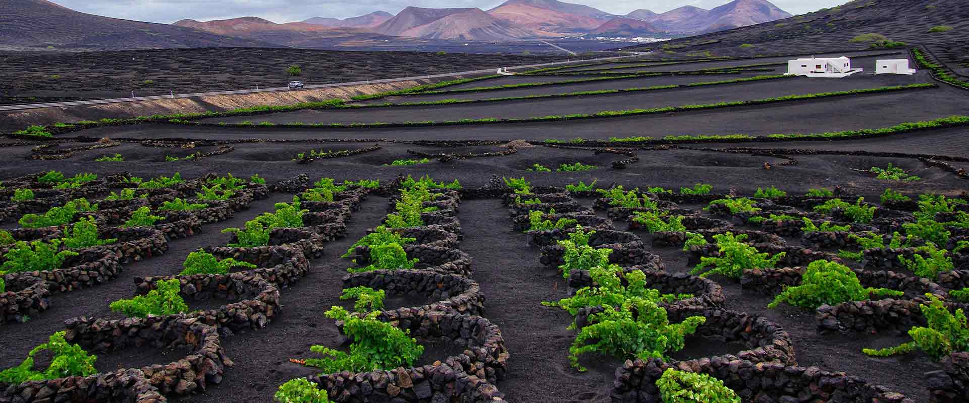 attività Lanzarote SBH Hotels & Resorts