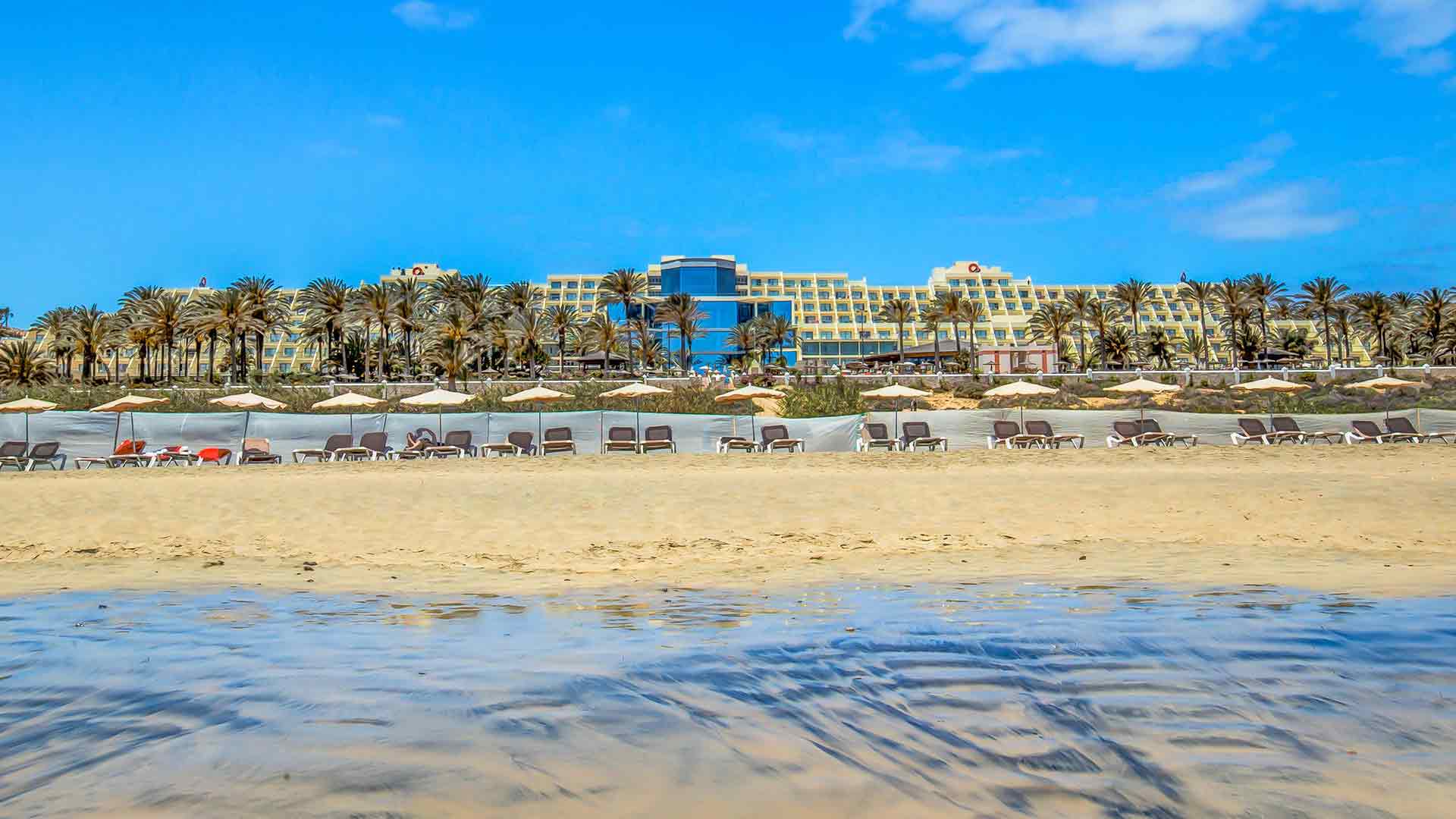 contatto sbh costa calma palace